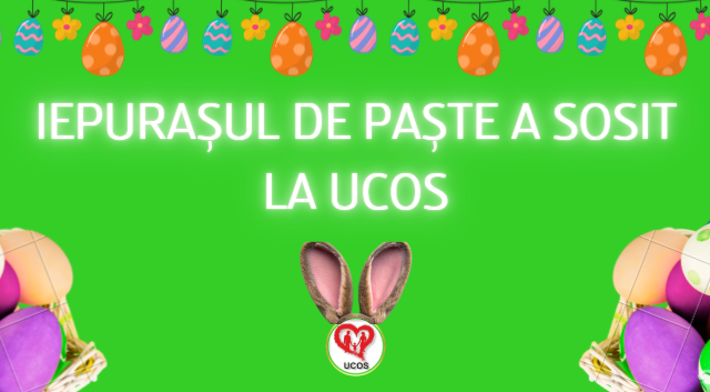 Iepurașul de Paște a sosit la UCOS 🐰